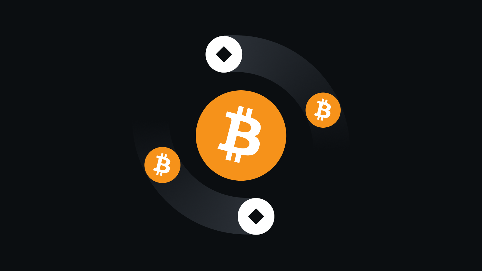 Pi浏览器1.13.0全新升级